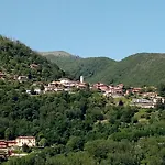 Grigioperla Tavernerio