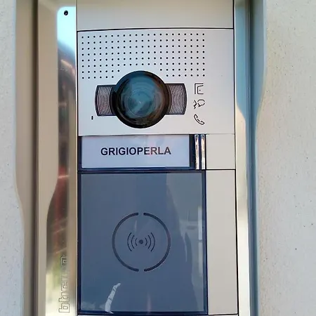 Grigioperla Tavernerio