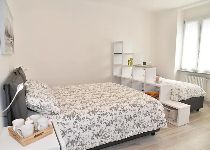 Grigioperla * Tavernerio