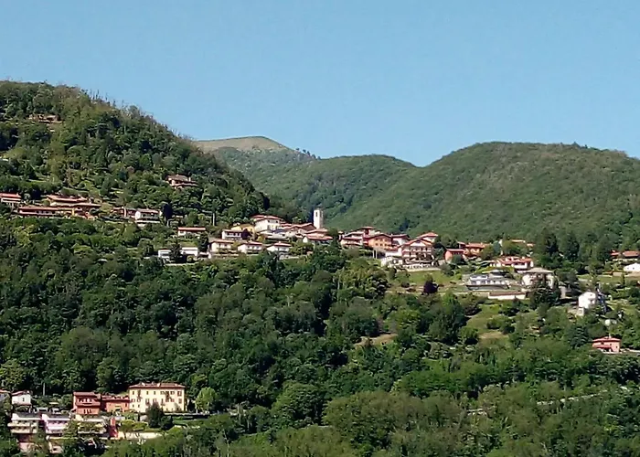 Grigioperla Tavernerio