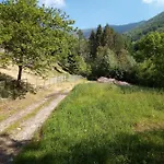Grigioperla