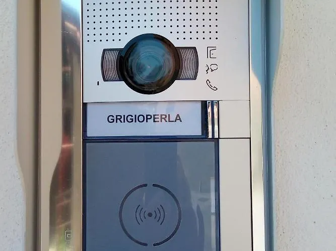 Grigioperla Tavernerio